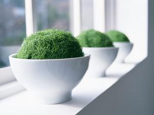 ペルシャ絨毯を長持ちさせるための手入れガイド：クリーニング頻度と家庭での管理法を徹底解説