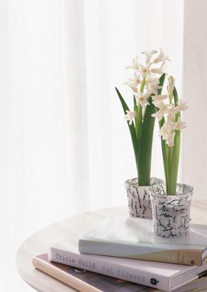 横浜にあるタカラスタンダード横浜ショールームのご案内：最新設備と充実の展示内容