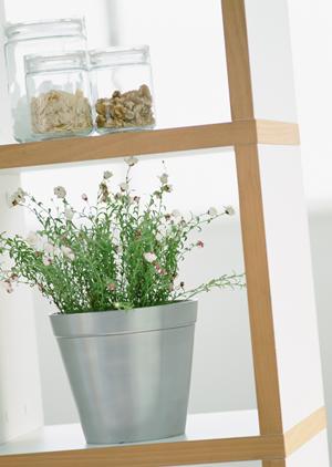 自分の体に合ったおすすめのマットレス